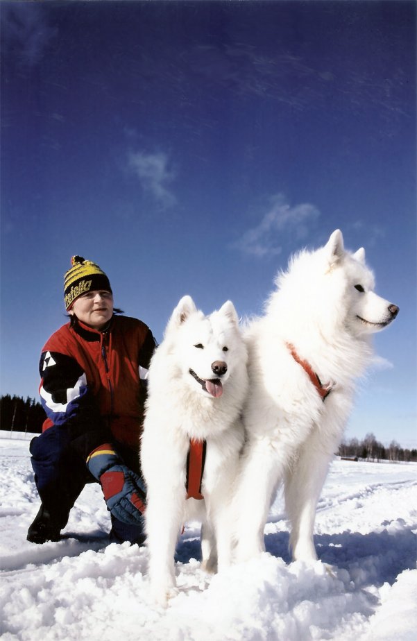 Diana med Laika och Karloff
