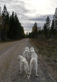 Träningspass med Svea,Wintra,Glazkova,Jinja
