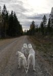 Träningspass med Svea,Wintra,Glazkova,Jinja