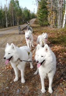 Höstträning med Svea,Wintra,Glazkova,Jinja