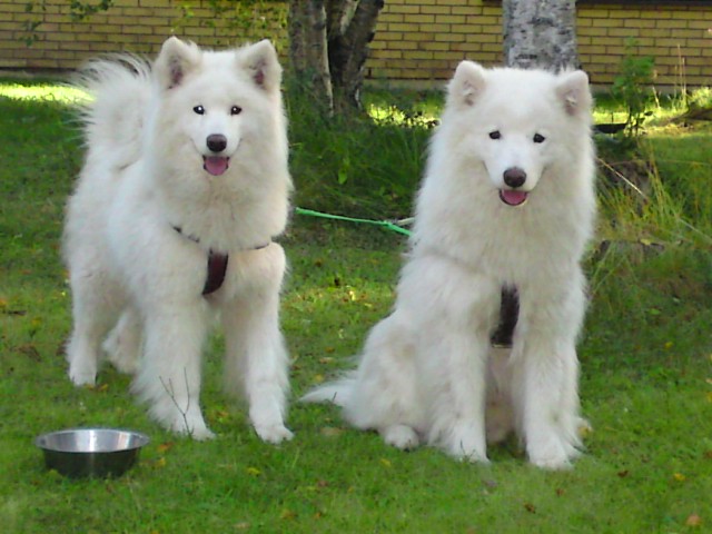 Mira och Kasper