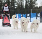 Mitt 4-spann, SM i Åsarna:Tarisha Glazkova Litoja Svea