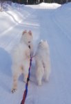 Borga och Svea på promenad
