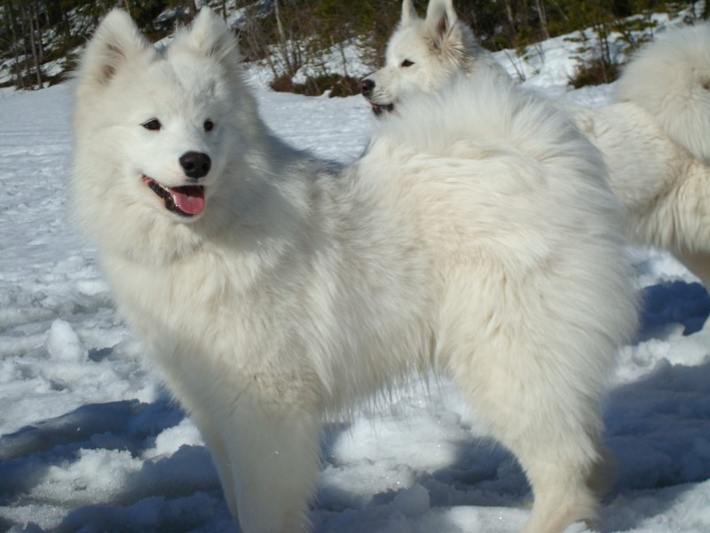 Northon och mamma Irma i bakgrunden