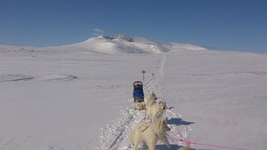 Helagasfjällen med Irma,Telma,Ksenia,Litoja