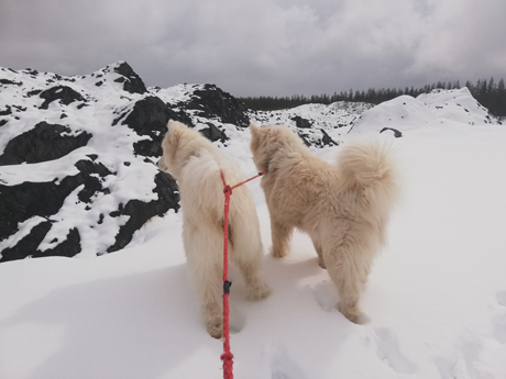 Hilton och Telma på bergsklättring