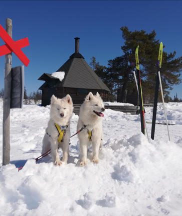 Skidåkning i Lofsdalen med Jinja och Glazkova