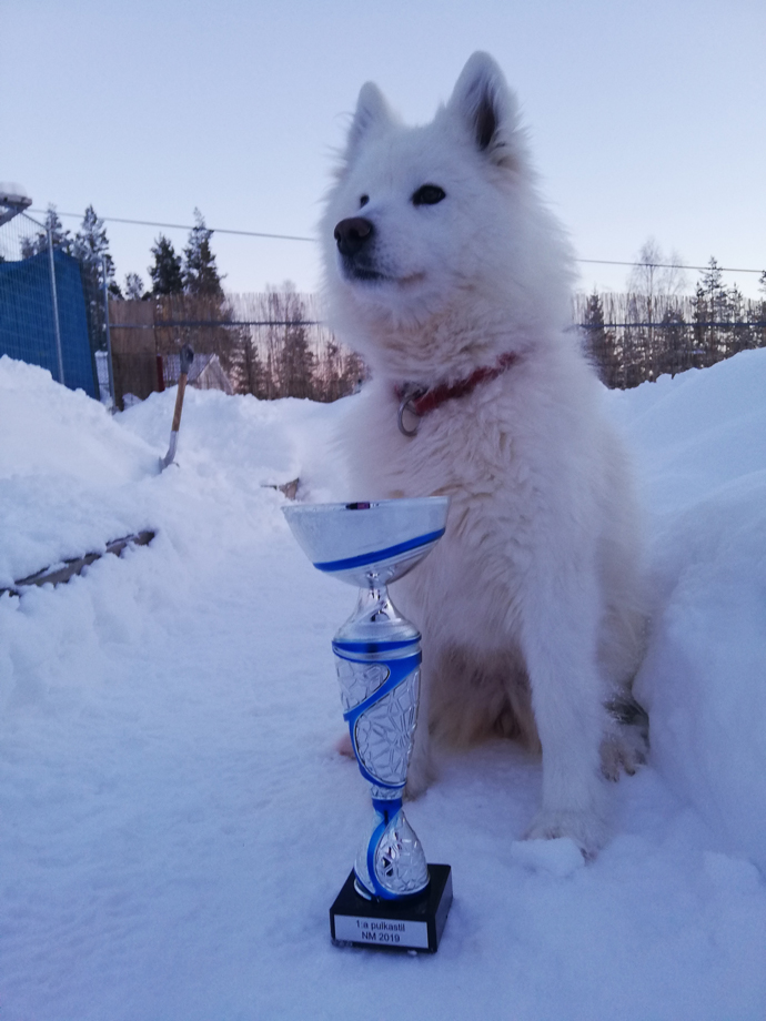 Great Taigans Litoja 1:a pris Nordisk stil i Furudal