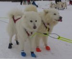 Athena och Tarisha