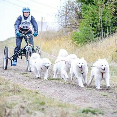 Barmarks-SM i Timrå: Litoja,Telma,Svea,Tarisha