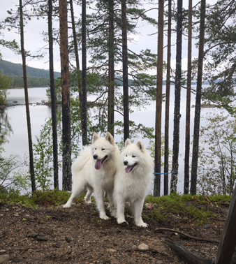 Borga och Wintra vid Loossjön