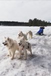 Påsktur med Litoja Jinja Hilton Telma