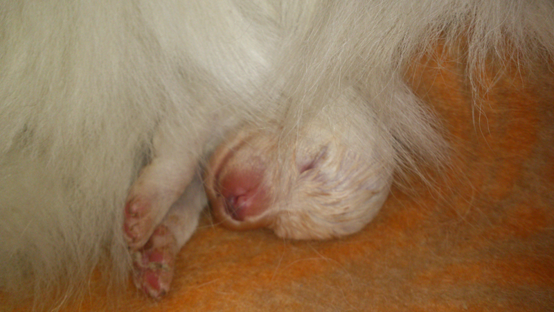 Litoja och Northons dotter 5 dagar gammal
