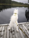 Glazkova spanar över Kvarnsjön