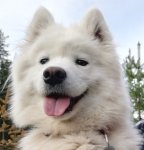 Glazkova 2 år