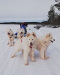 Glazkova, Jinja, Borga, Wintra tar en vilopaus på turen