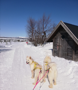 Jinja och Glazkova i Lofsdalen
