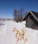 Jinja och Glazkova i Lofsdalen