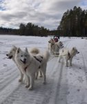 Tur med Glazkova Jinja Svea Borga Wintra