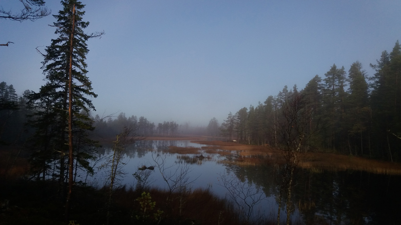 Morgondimma en höstdag