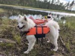 Jinja inför en kanottur