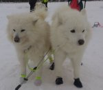 Litoja och Northon