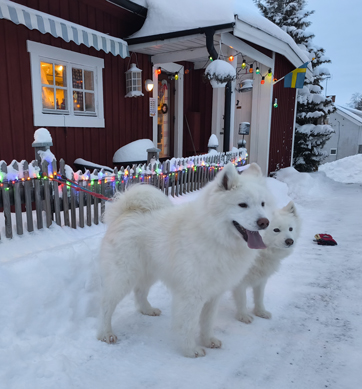 Litoja och Svea promenad till Loos Bageri