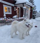 Litoja och Svea promenad till Loos Bageri
