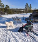 Wintra Borga Glazkova Jinja vid Lofsdalens Våffelstuga