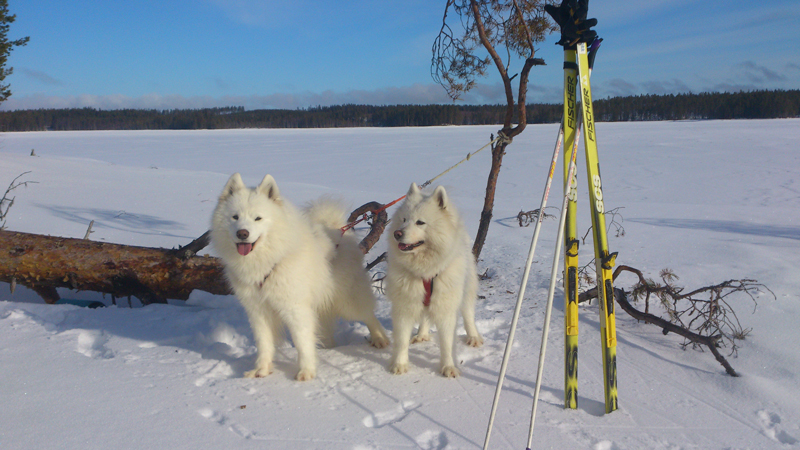 Northon och Litoja på en skidutflykt i Los