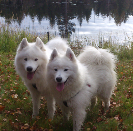 Northon och Litoja