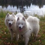 Northon och Litoja