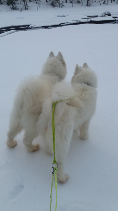 Northon och Tarisha vid Kvarnsjön