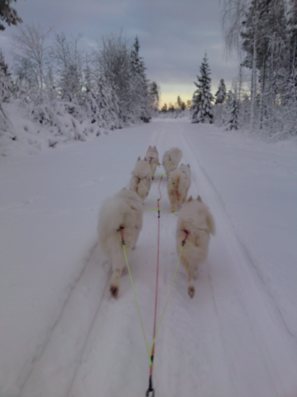 Nyår:Kasper,Mira,Irma,Telma,Northon,Nike