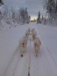 Nyår:Kasper,Mira,Irma,Telma,Northon,Nike