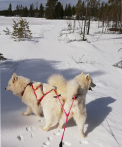 Skidtur med Tarisha och Telma