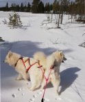 Skidtur med Tarisha och Telma