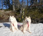 Skidutflykt med Tarisha och Telma
