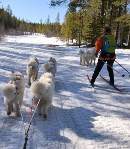 Slädtur i Lofsdalen med Jinja Glazkova Borga Wintra