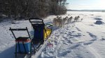 Fikapaus på slädtur: Litoja Telma Svea Aiga Tarisha Northon