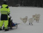 Lomsjöhed 2x3mil Irma,Ksenia,Telma,Nike,Kozak