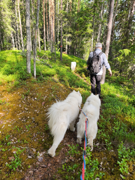 Svea och Glazkova vandring efter Helgonaleden