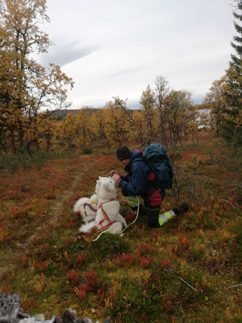 Jag ger Svea och Wintra lite godis på fjällvandringen