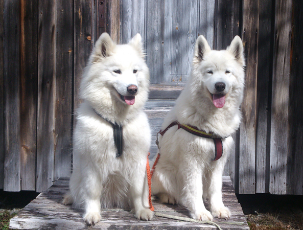 Tarisha 5år och Irma 11år
