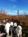 Tarisha och Telma vandring i fjällen