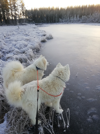 Tarisha och Telma vid Kvarnsjön i Loos