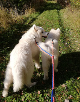 Telma 13 år, Borga 4 mån. på promenad