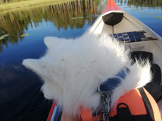 Telma på en kanottur