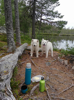 Telma och Litoja med på fisketuren i Öringstjärn
