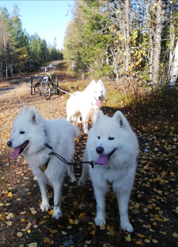 Träningspass med Hilton Jinja Glazkova